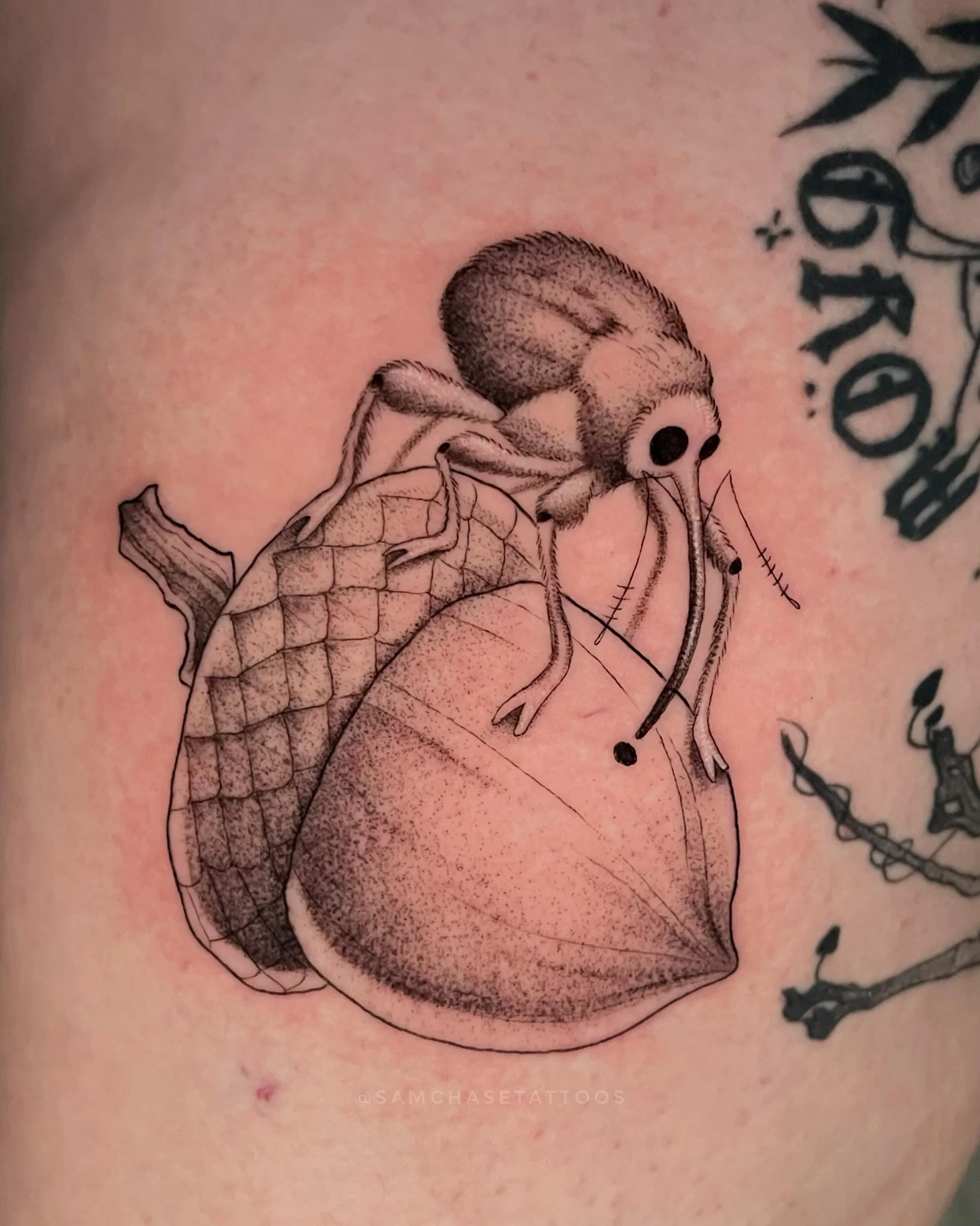 Whatchu know about the Acorn Weevil 🗣️🥜
Never met a lil guy I didn&rsquo;t like, and this feller is no exception 🪲 Happily situated near other healed pieces we&rsquo;ve done, the mushroom one from December of 2021!
.
.
.
.
#bugtattoo #finelinetatt