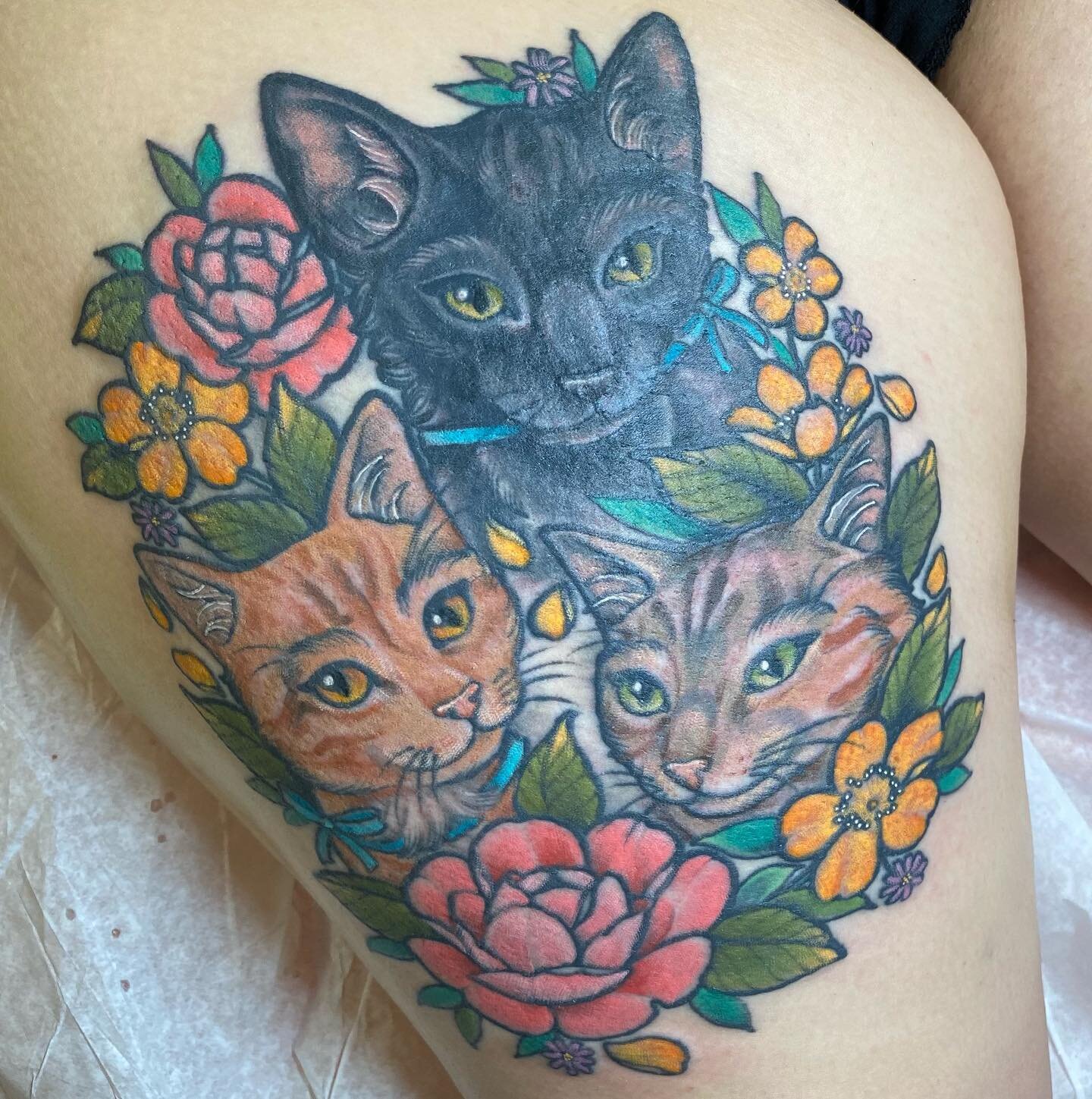 Kittens inspired by kittens... thanks Brianne! Lines and black are 3 years healed, color is fresh. Always happy to finish up a project 🐱 @whitedogtattooky 
(Swipe to see close ups of the kitties cause they&rsquo;re too cute!)
