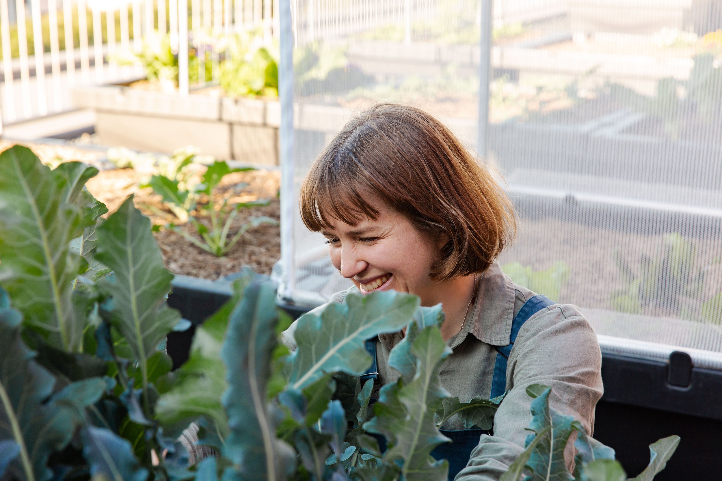 City harvest: the rooftop revolution taking over Brisbane