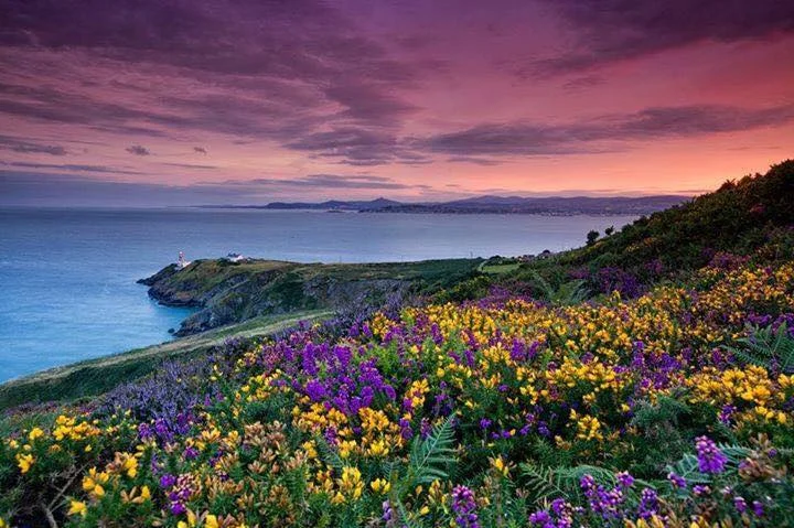 Howth, Dublin.