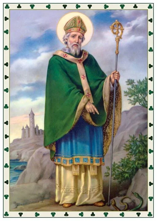 Thánh Patrick đuổi toàn bộ rắn ra khỏi Ireland (nguồn ảnh: Google)