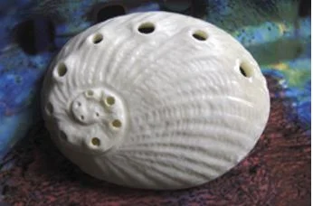 Two sides of a carving of a pāua