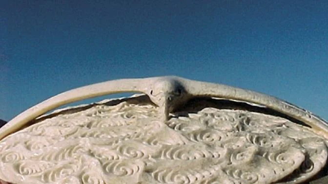 A carving of a toroa, inspired by the hours I spent watching them skimming over a sparkling sea