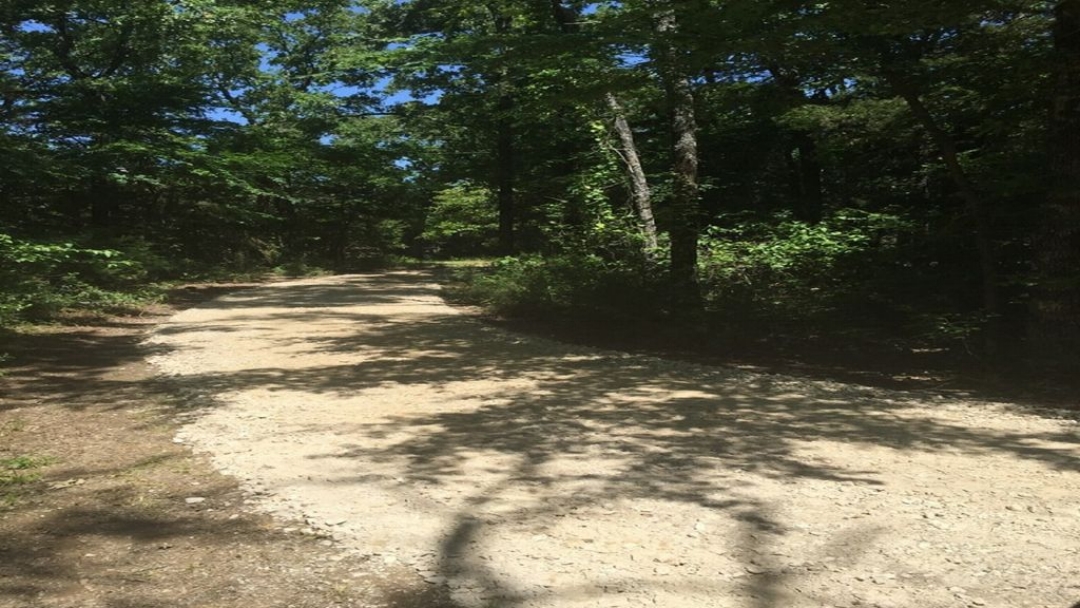 Driveway_lighter.jpg