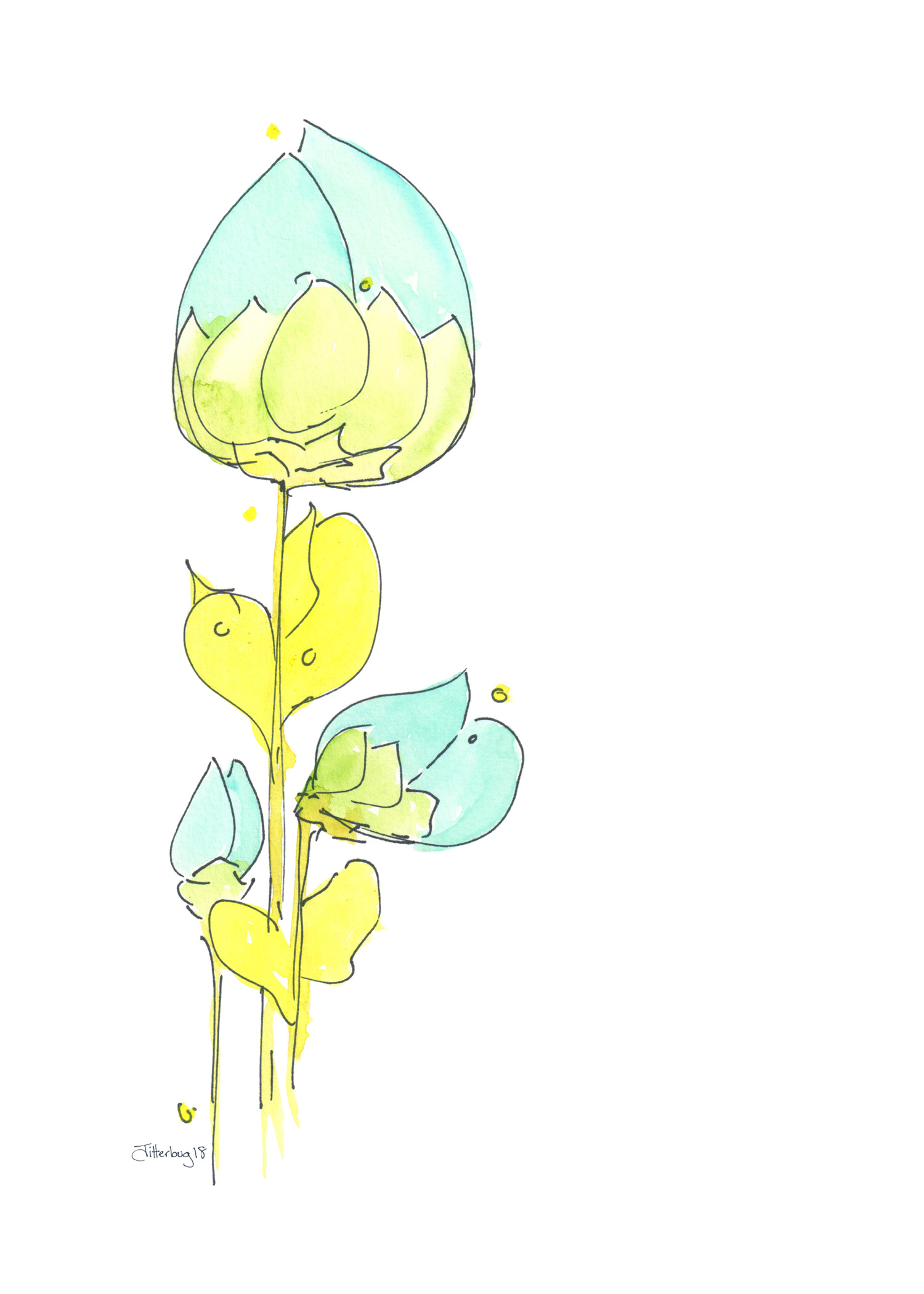 blue tulip.jpg