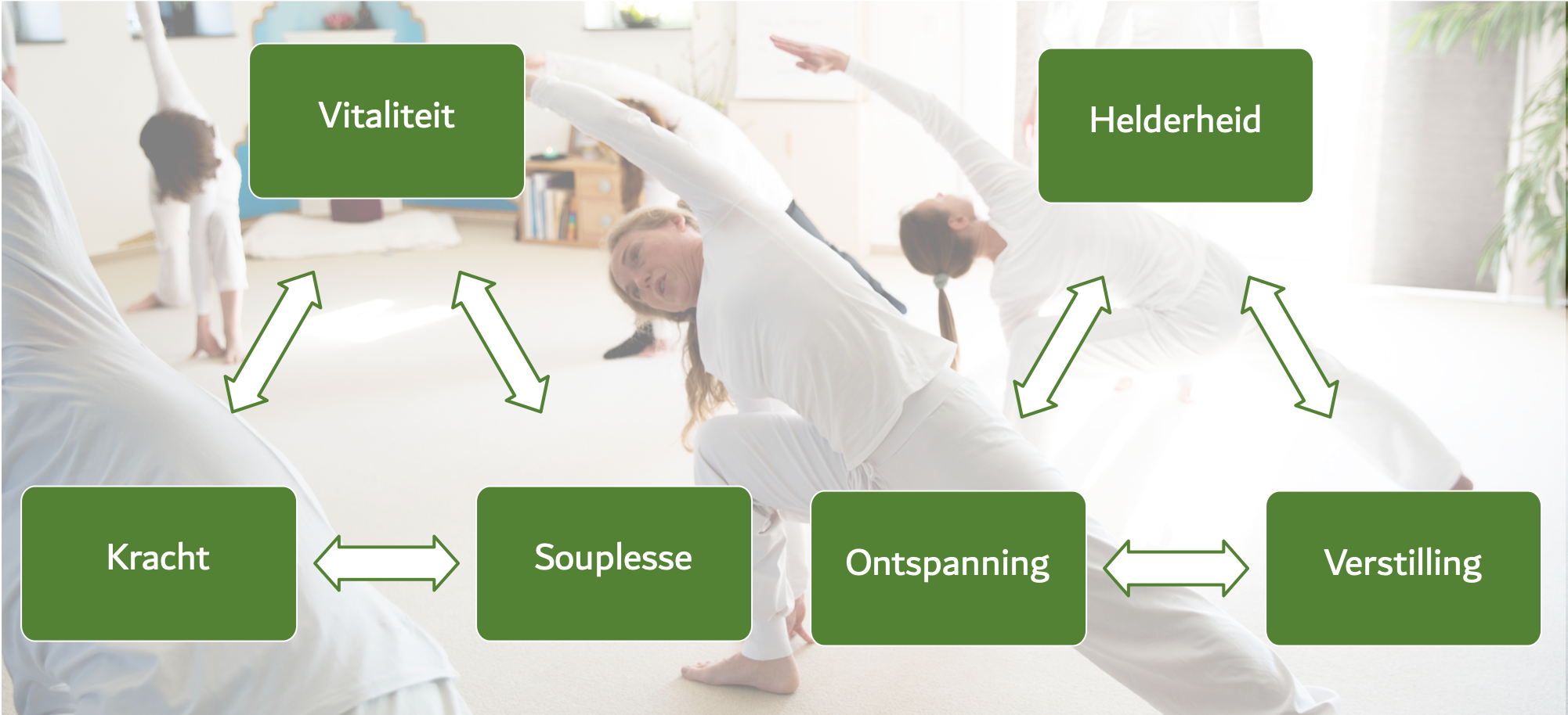 Vitaliteit en Helderheid.png