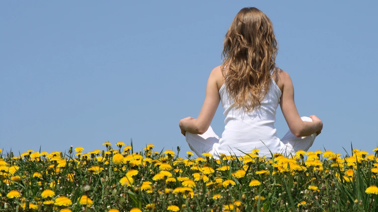 Banner+Home+happiness+Yoga.jpg