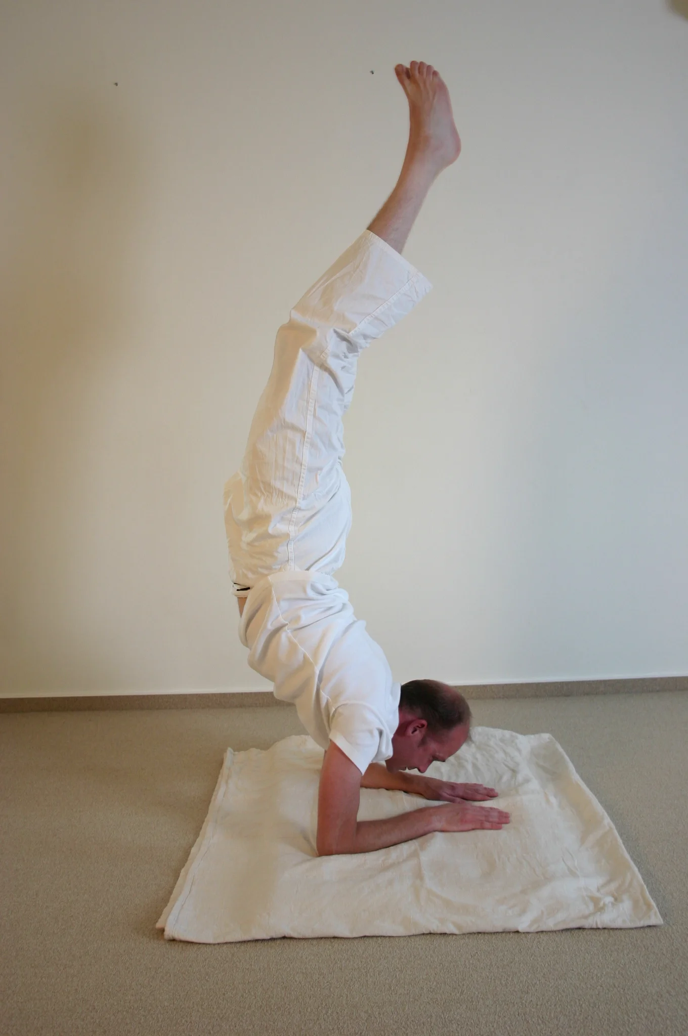 peterm_asana (2).JPG