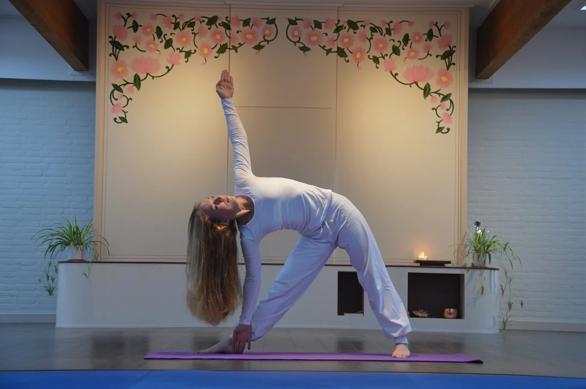 Ylvy Vaanholt 1.jpg
