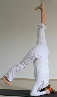 DeYogaschoolEPsirsa.jpg