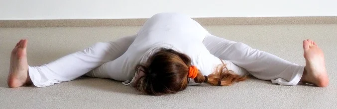 DeYogaschoolKurma.jpg
