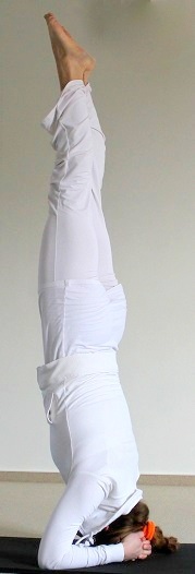 DeYogaschoolMFsasirsa.jpg