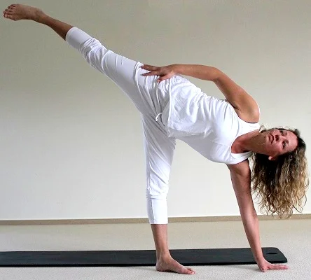 yogaschoolArdhachandra.jpg