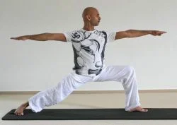 Anand-Virabhadra-250x177.jpg