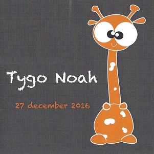 Tygo Noah.jpg