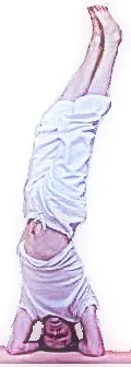 YogasirsasPatrick1.jpg