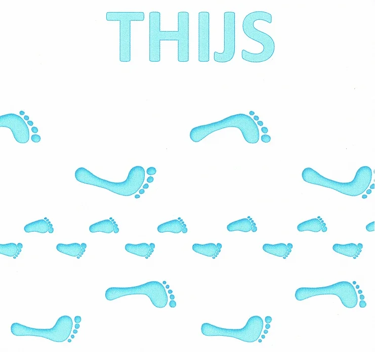 DeYSthijs.jpg