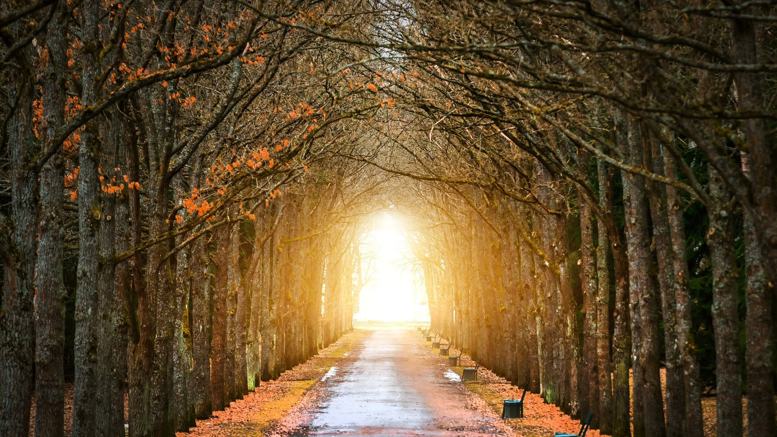 Les 4 is beschikbaar