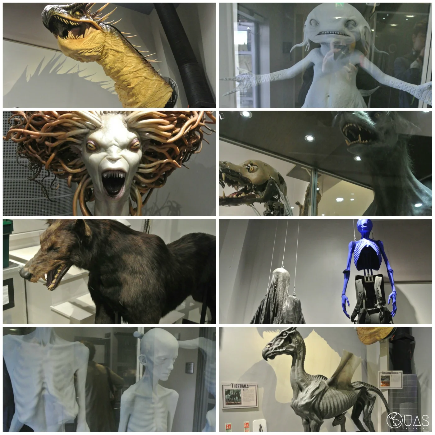 Dark creatures