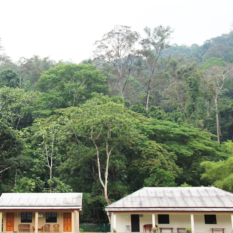 Alang Ria - Square.jpg