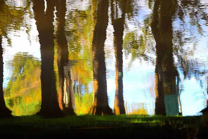 C'est La Vie Theatre