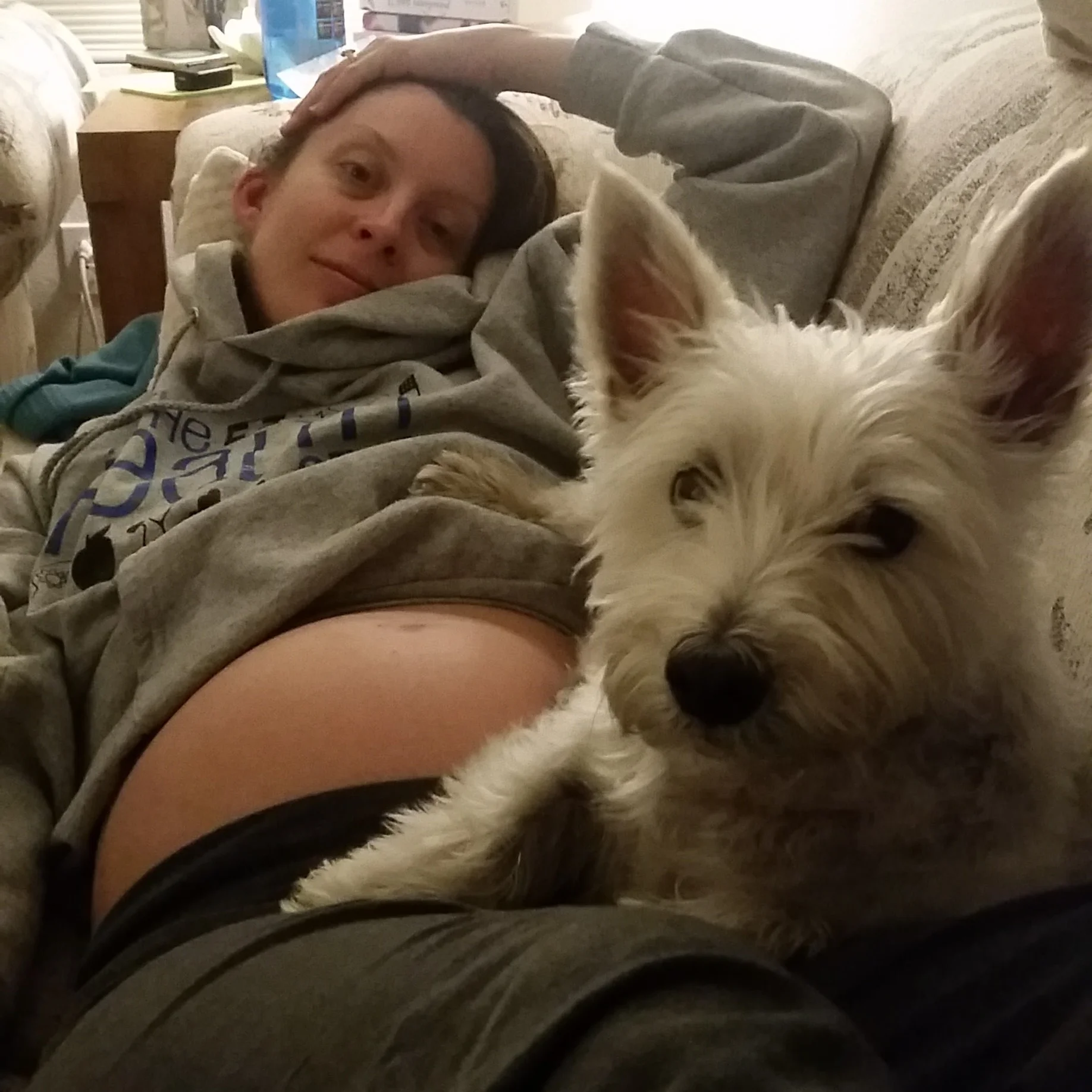 This sweatshirt and these sweatpants (and this dog) bring me joy. 