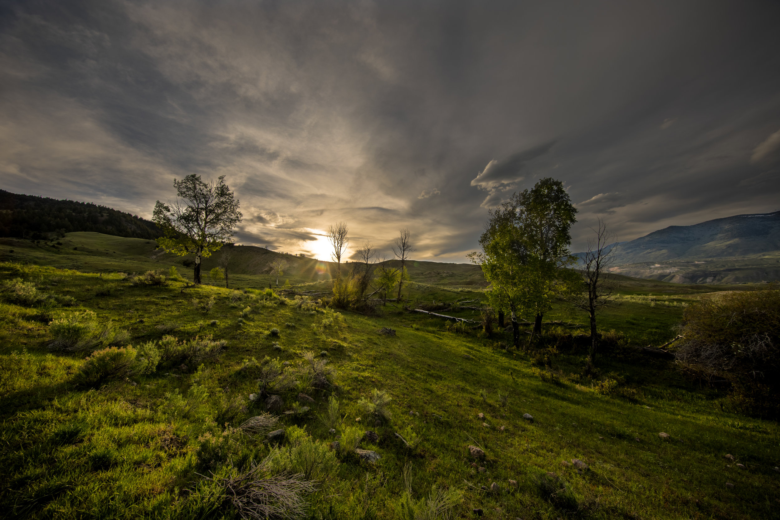 P54A0267-HDR.jpg