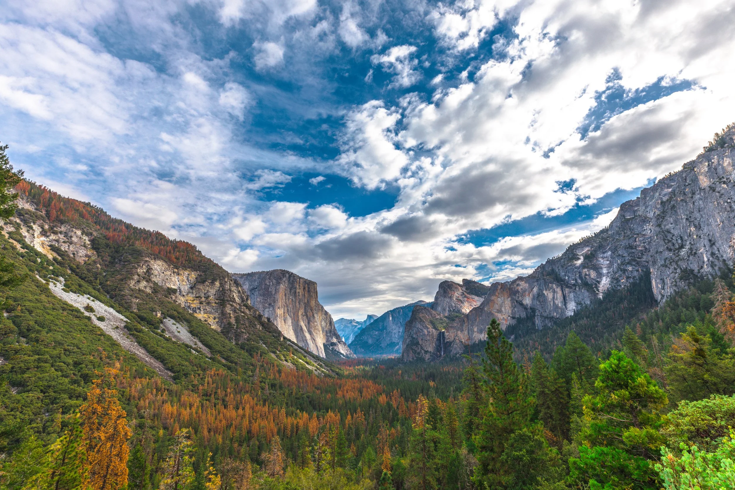 P54A2374-HDR copy.jpg