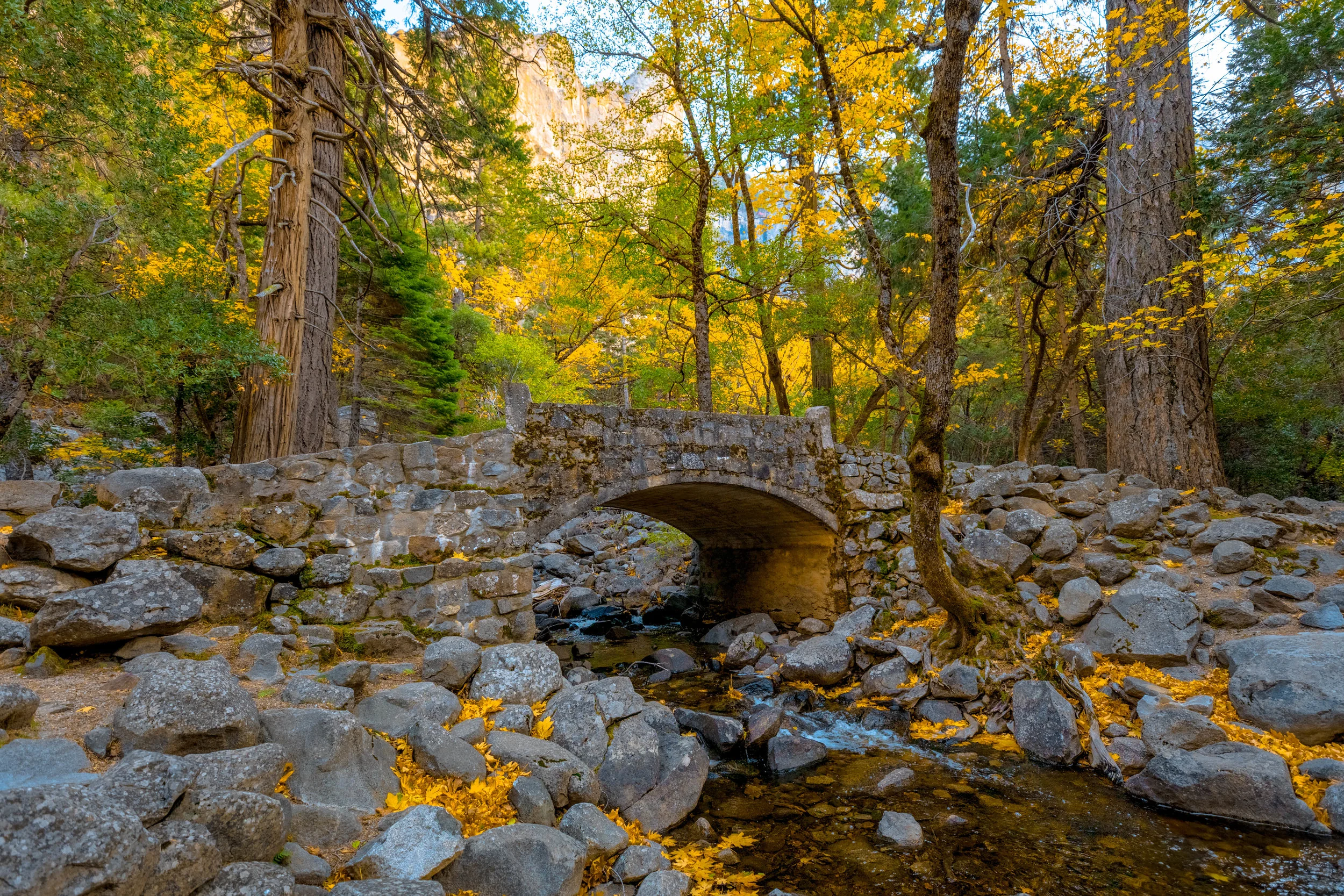 _54A0921-HDR.JPG