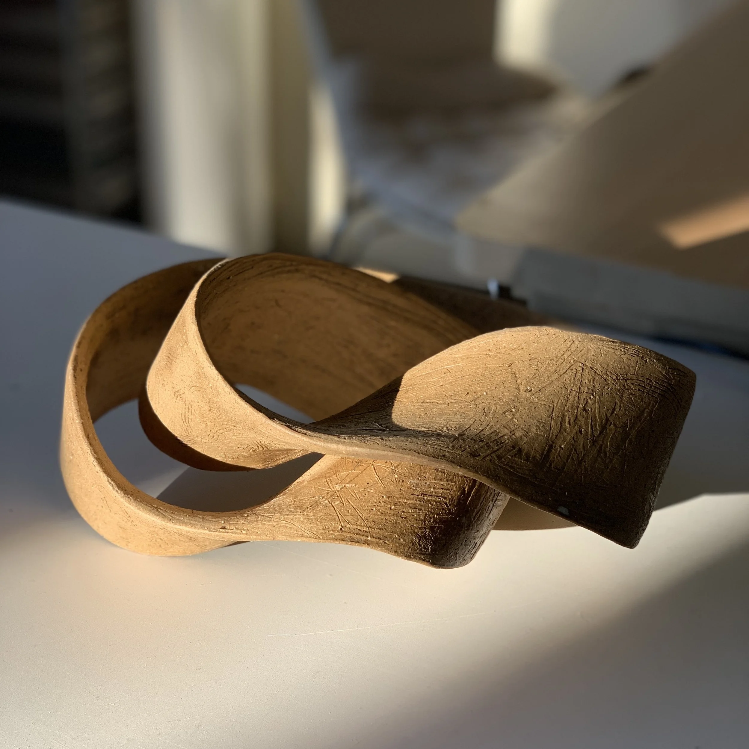 insitu1 IMG_0237.jpeg