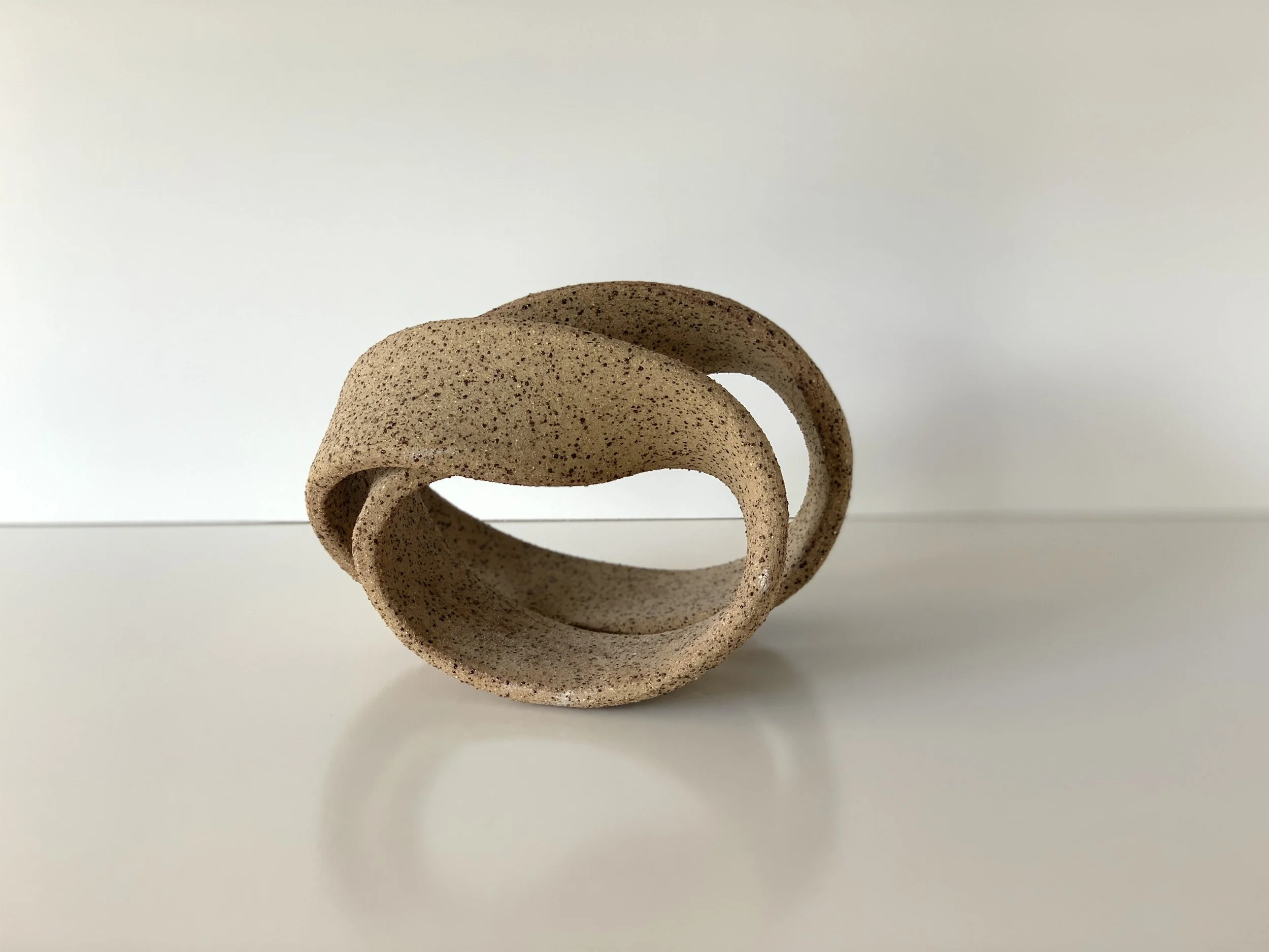 BRT large 1IMG_5455.JPG