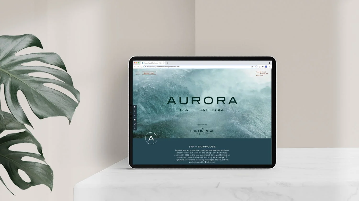 Aurora-Website-1.jpg