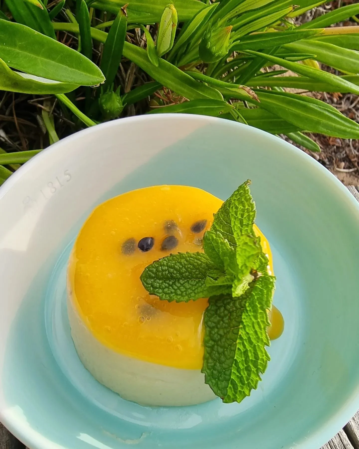 Coconut & passionfruit vegan panna cotta on this stunning day🥥🌞 #vegandessert #wellnesscoach #springfood