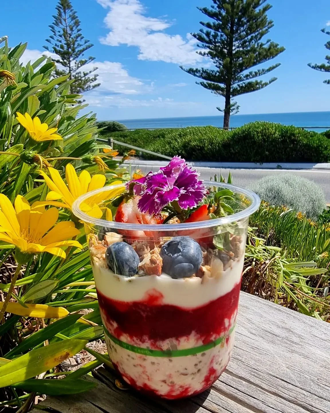 Summer vibes☀️🍎 apple bircher with plum compote & coconut custard 🥥 #sunnydays #birchermuesli #healthyfood
