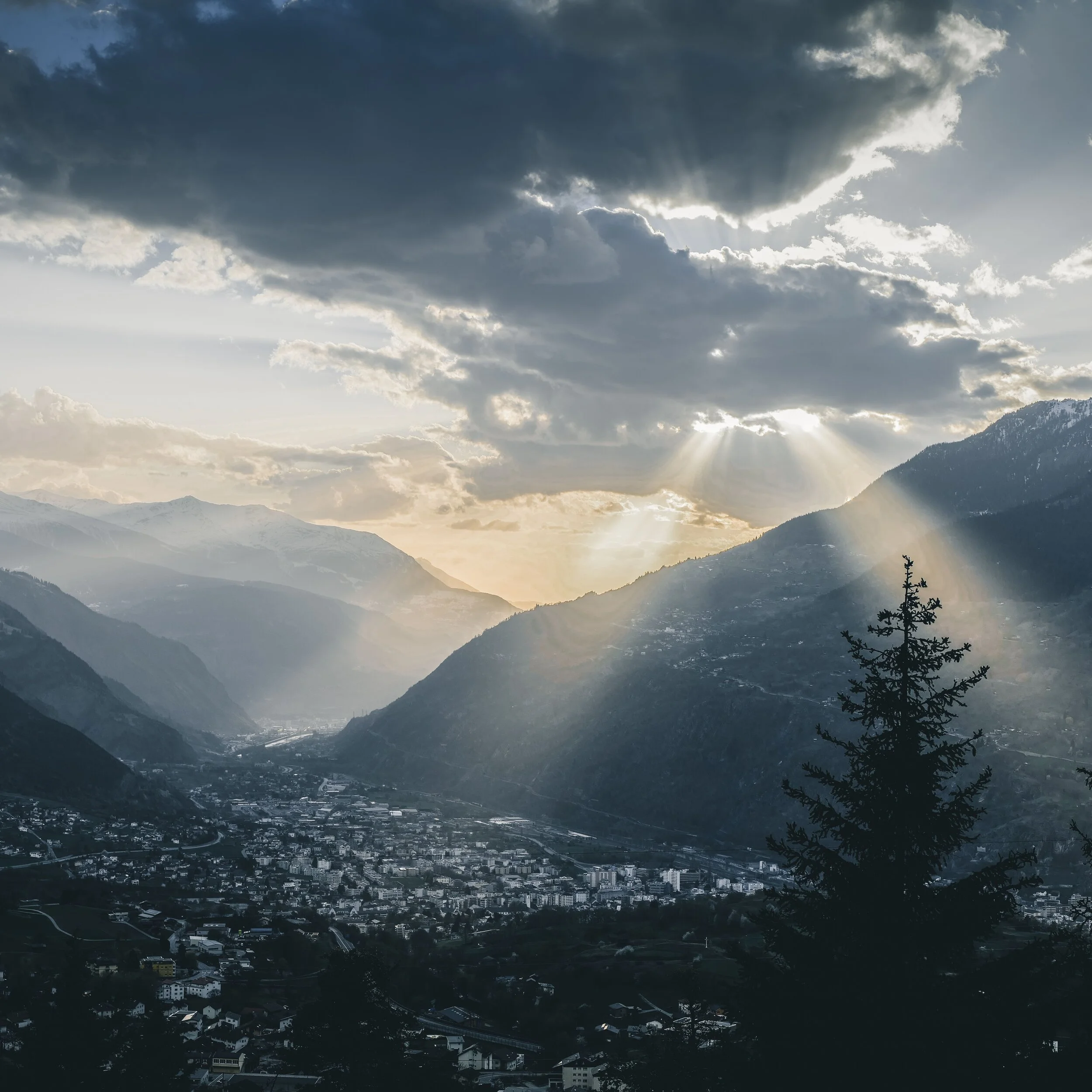 Totgeschrieben und Wiederauferstanden