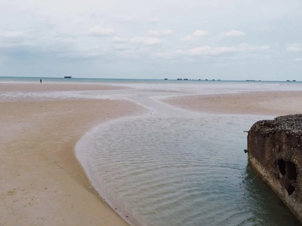 PHOTO-2023-01-29-16-17-57 3.jpg