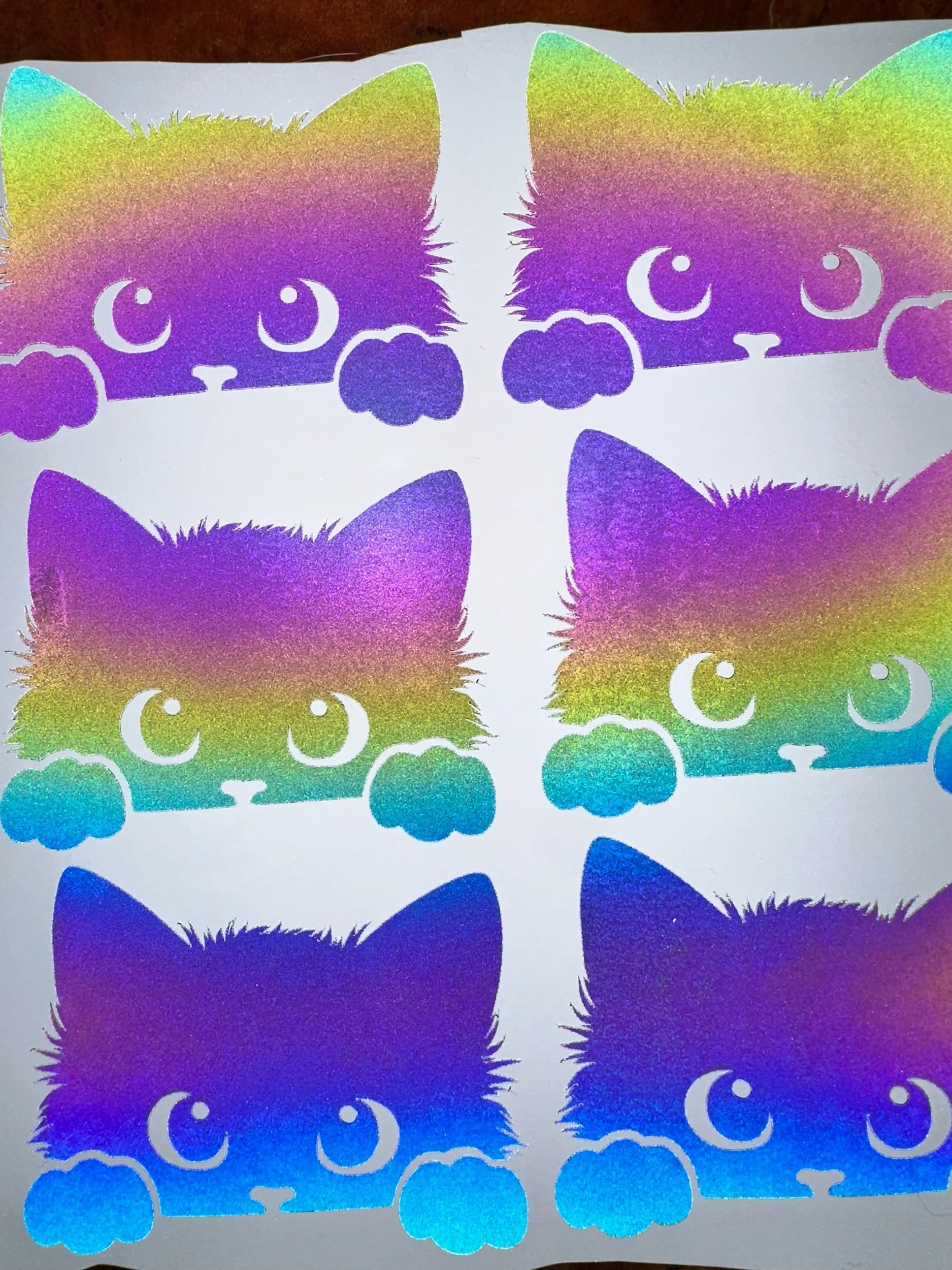 D64821FE-0B62-4B74-B835-2E6E12BAF5D5.jpeg