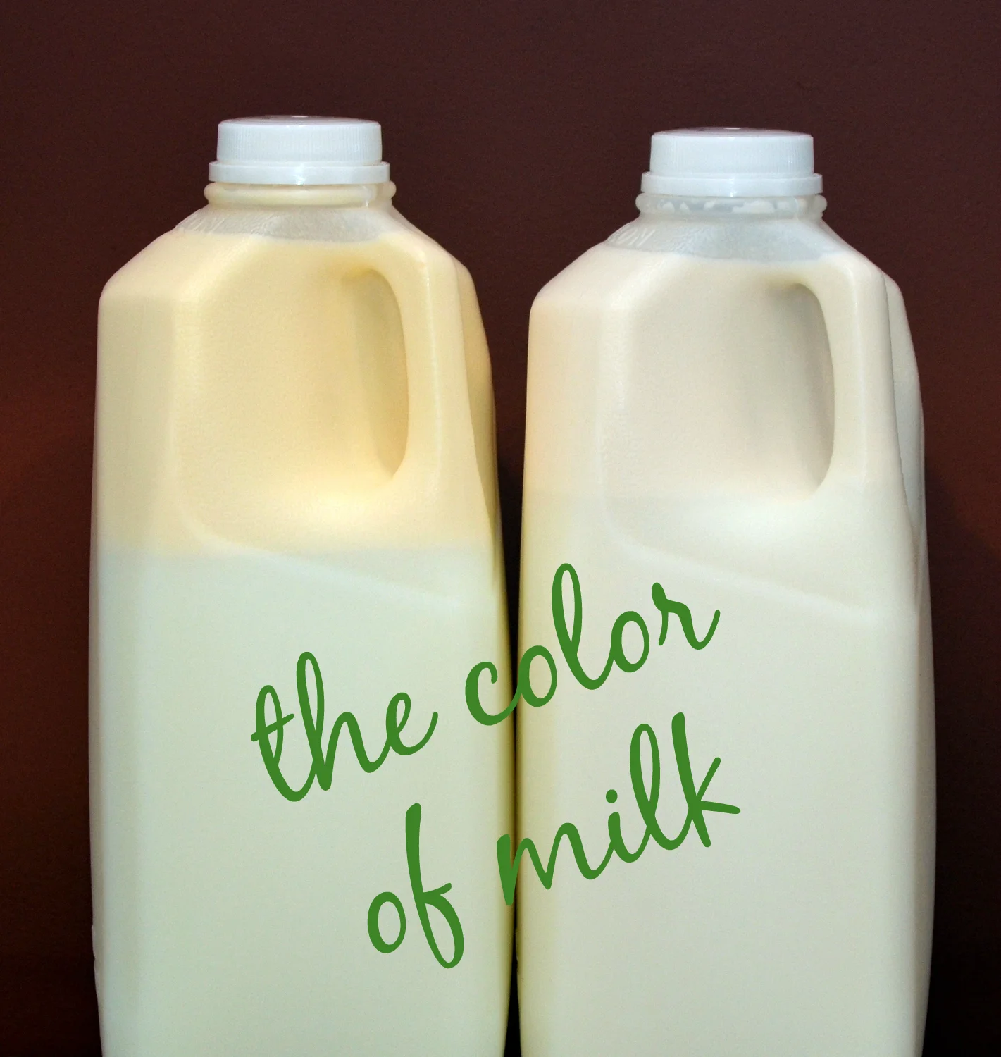 Jersey and Normande milk from my farm.