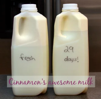 old milk 004_600x480-001a.jpg