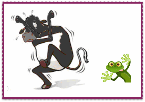 chocolate and frog.png