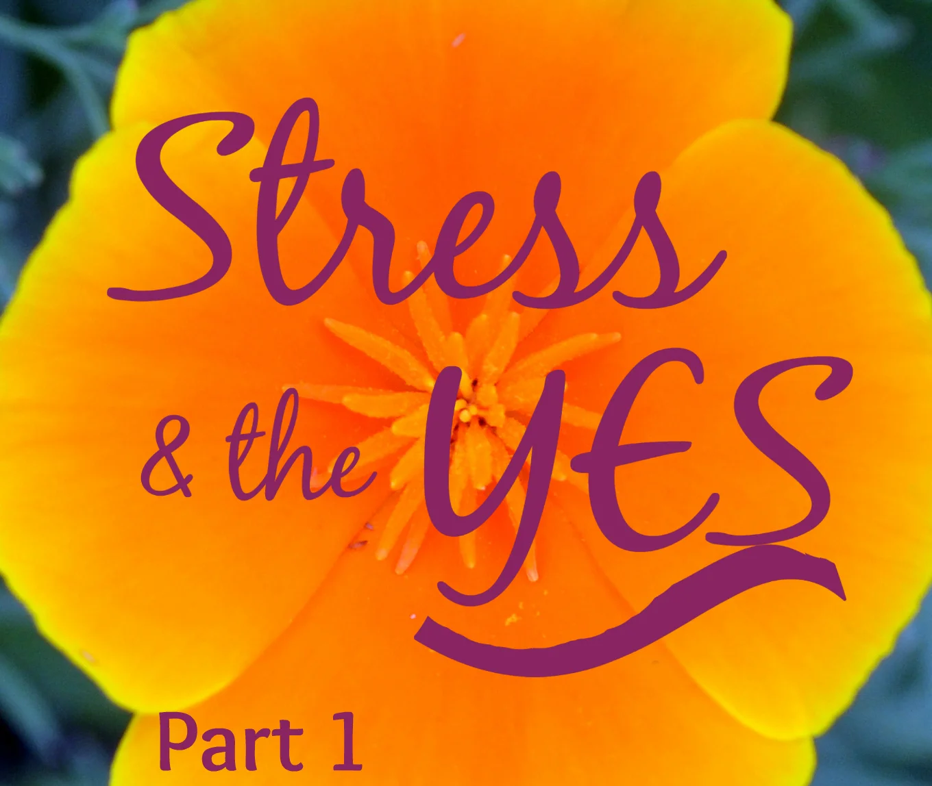 stress and yes p1b.jpg