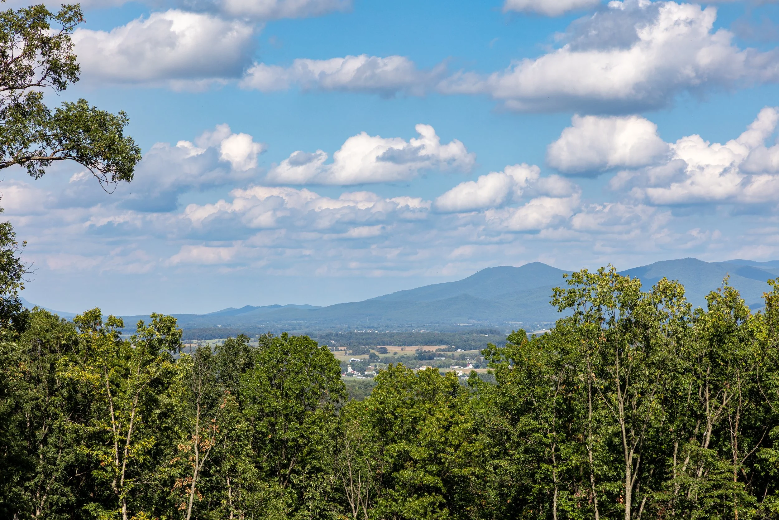 View of distant mountains and a partly cloudy blue sky, framed by green trees in the foreground.