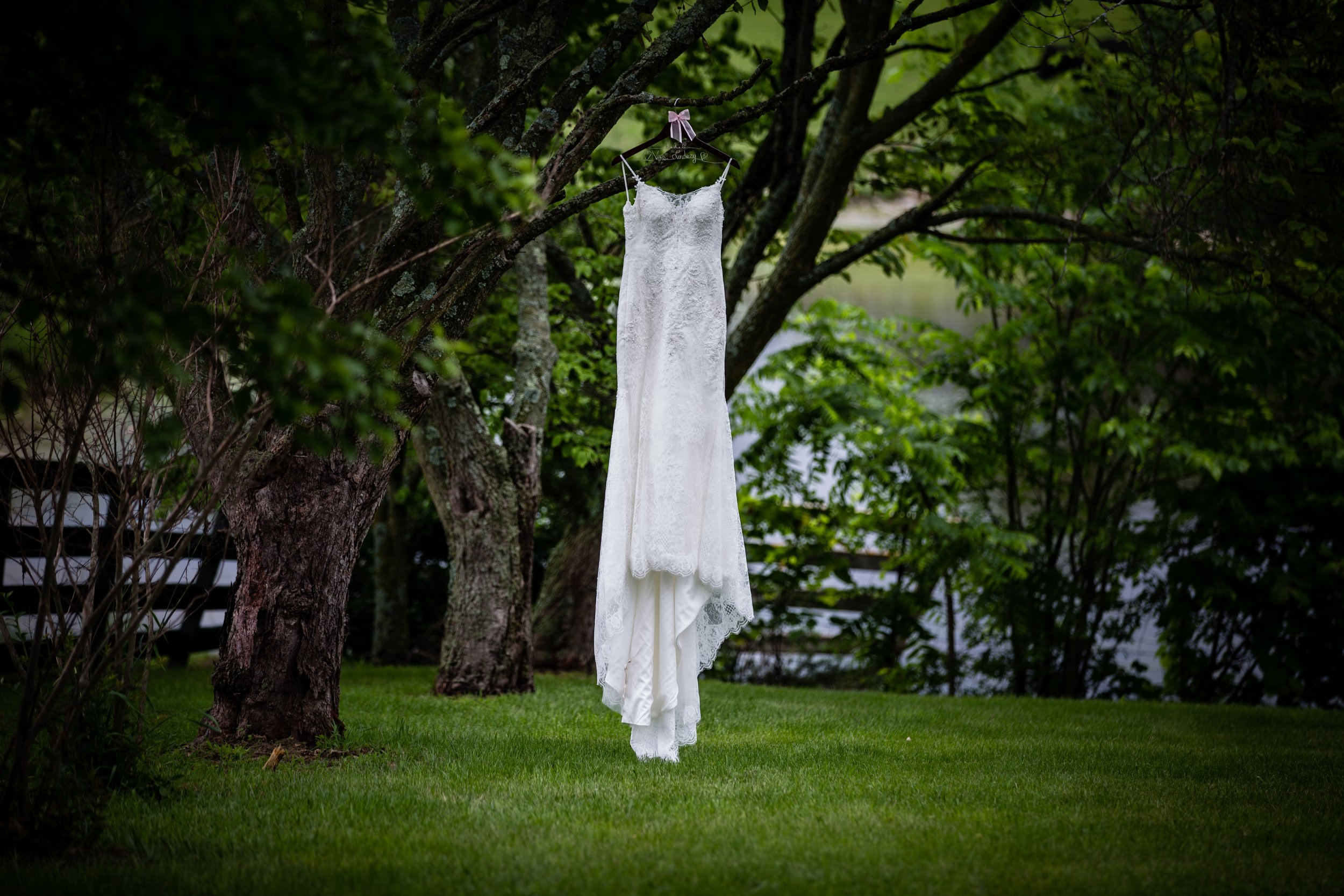 A white wedding dress hanging on a hanger on a tree branch in a lush green backyard.
