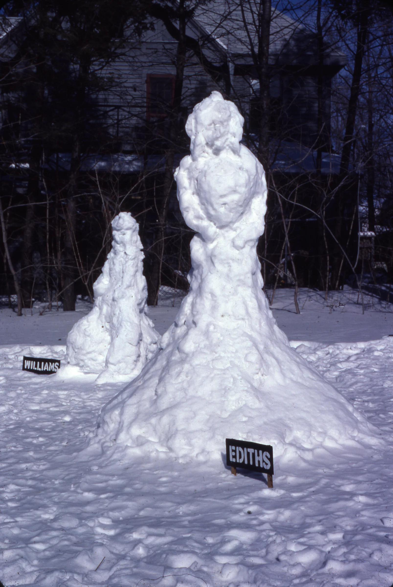 Snow People