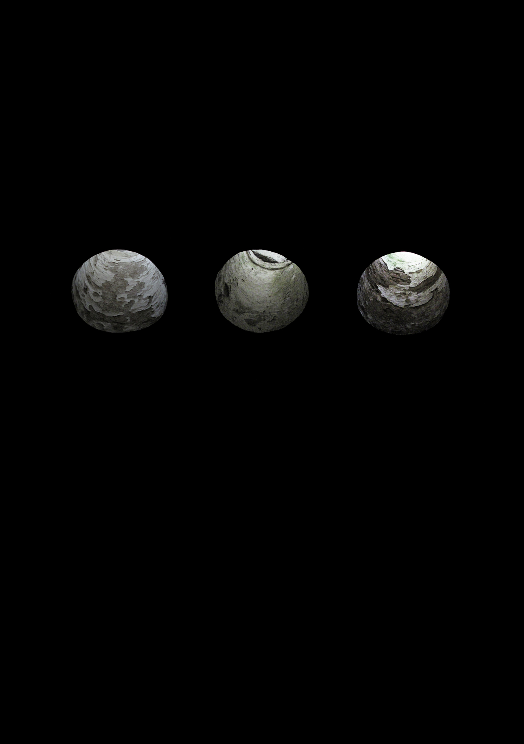 Greenwood Oculi 
