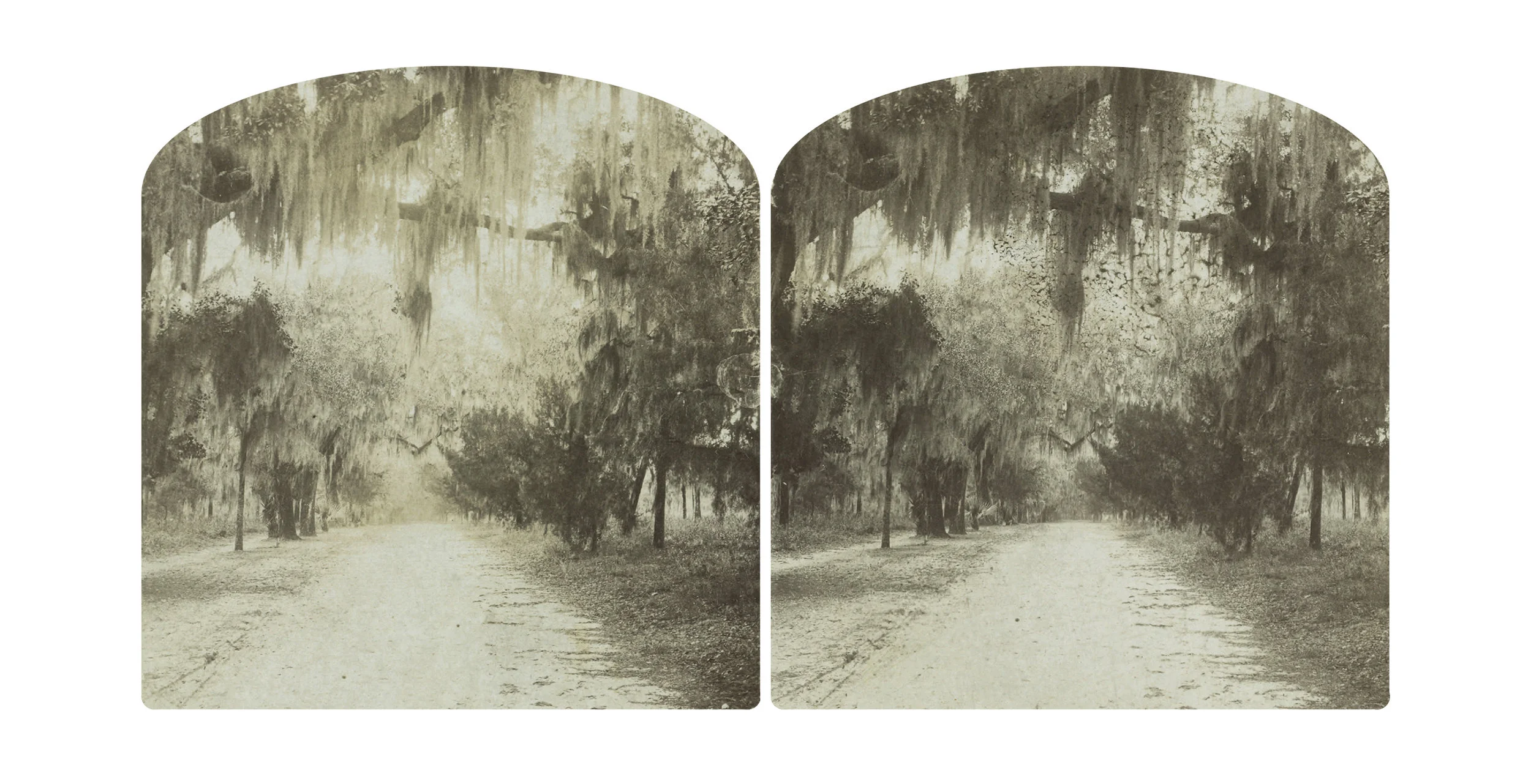 Stereoscopic Bonaventure