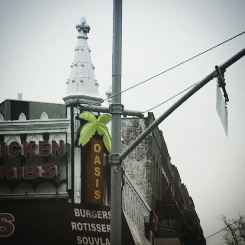 Queens Oasis, 2017