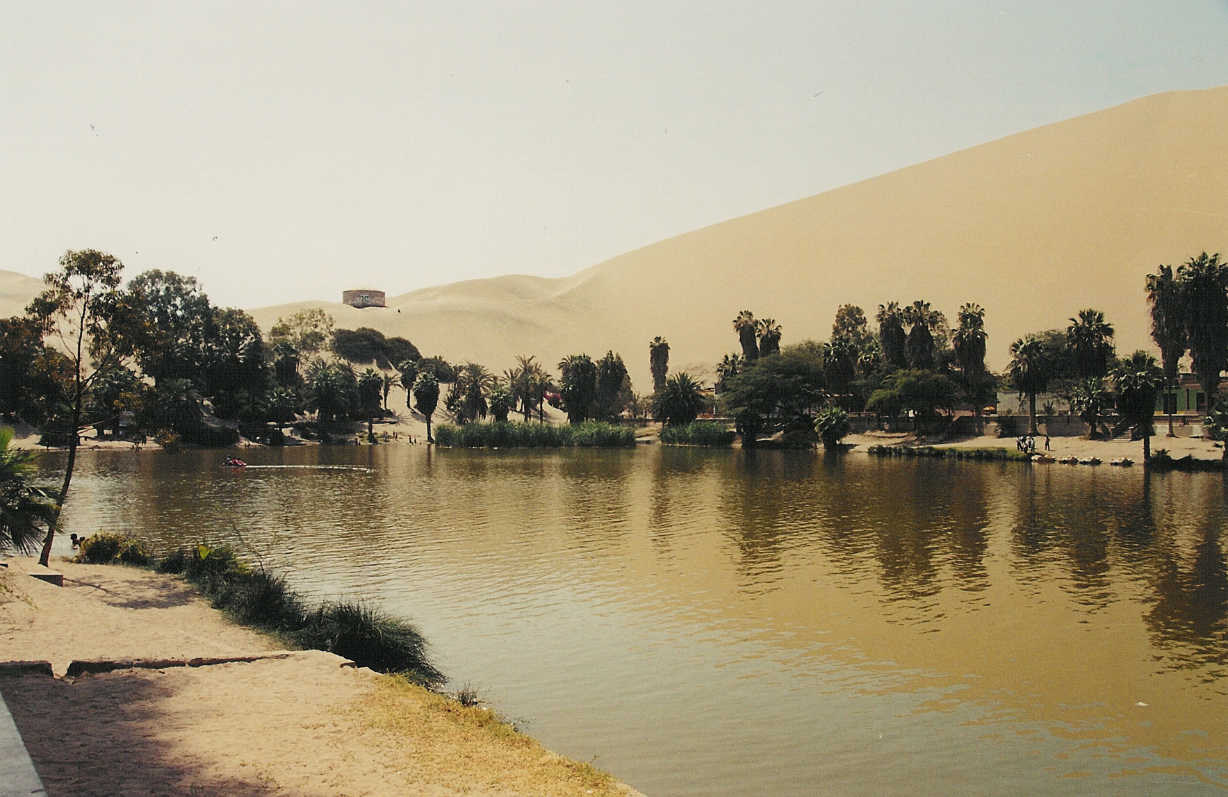 Peru_Ica_Oasis.png