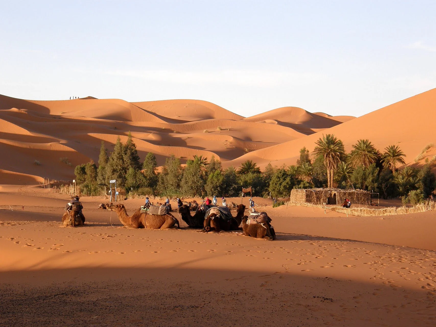 country_holiday_morocco_736976.jpg