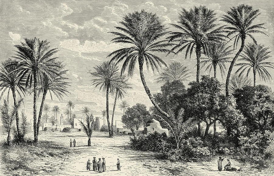 oasis-of-gafsa-tunis-charles-brabant.jpg